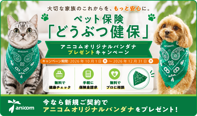 【アニコム損保】バンダナCPバナー600‗480